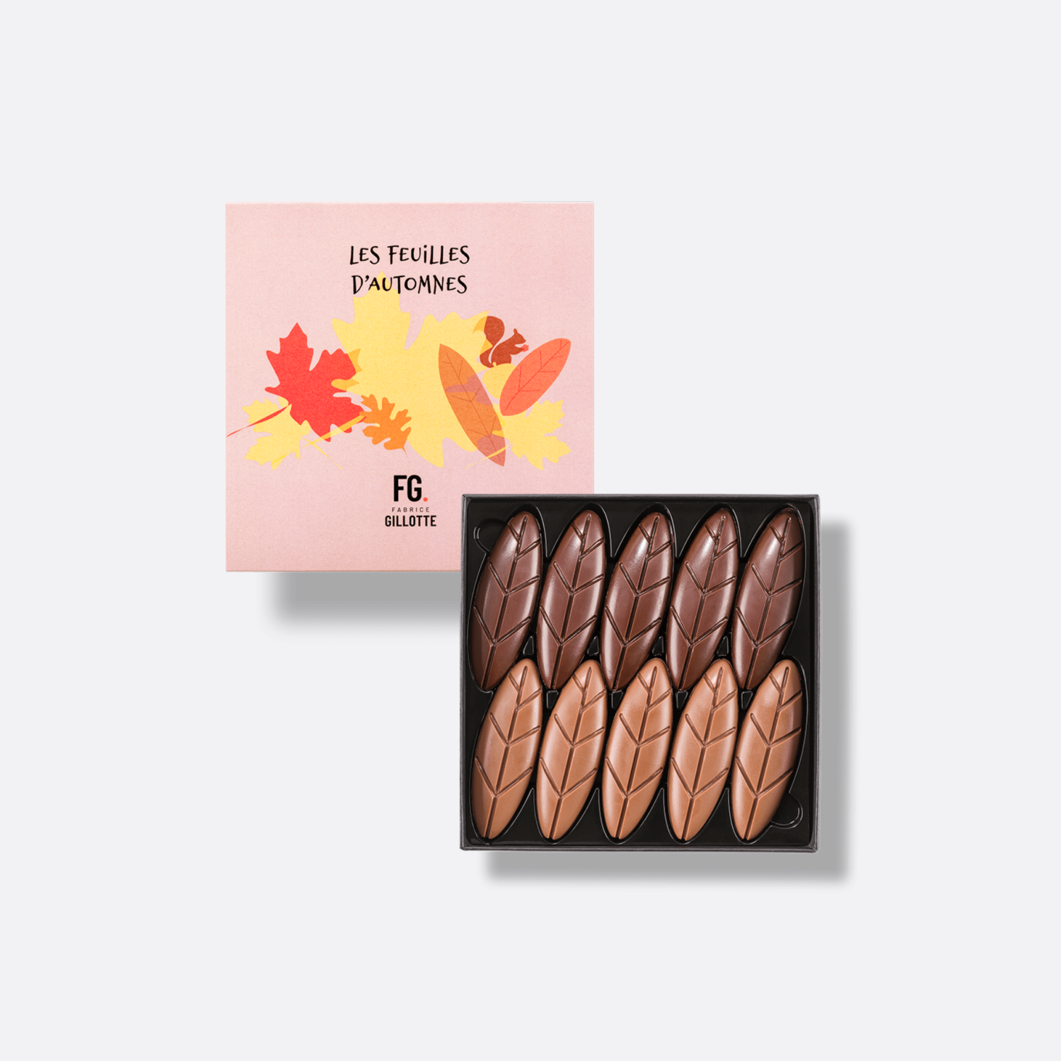 FEUILLES CHOCOLAT
