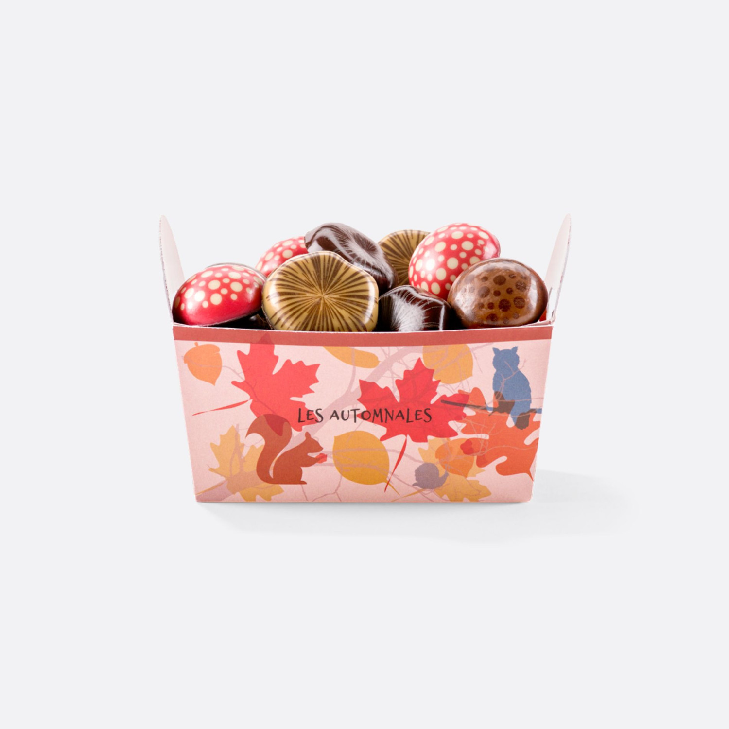 Champignon Chocolat fourré caramel et praliné | Fabrice Gillotte