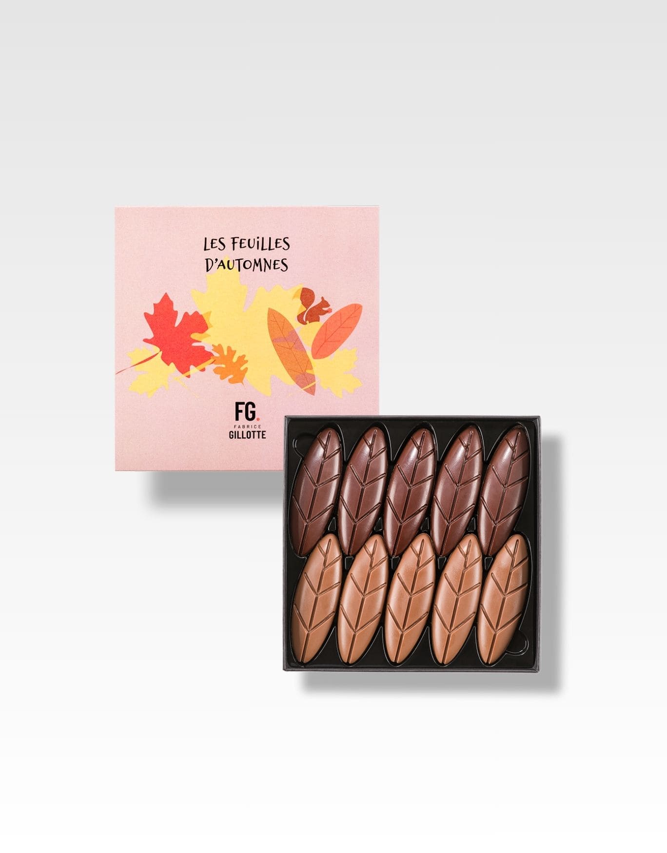 feuilles chocolat noir ou lait