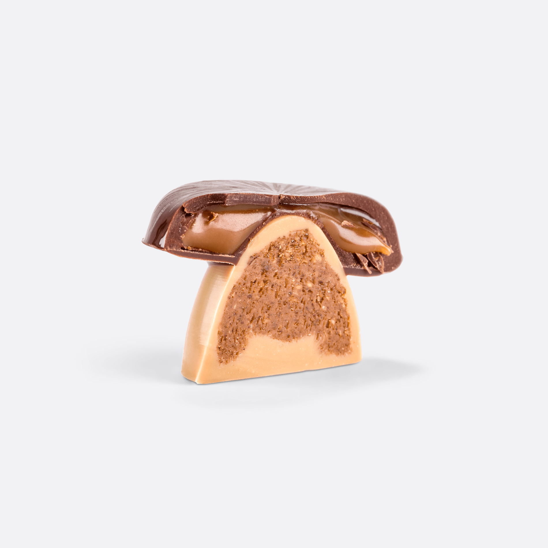 CHAMPIGNONS EN CHOCOLAT