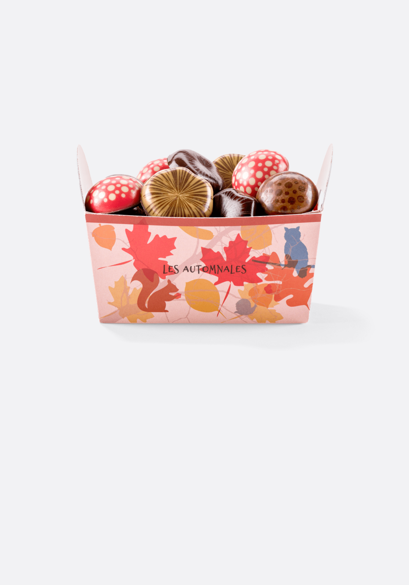 CHAMPIGNONS EN CHOCOLAT