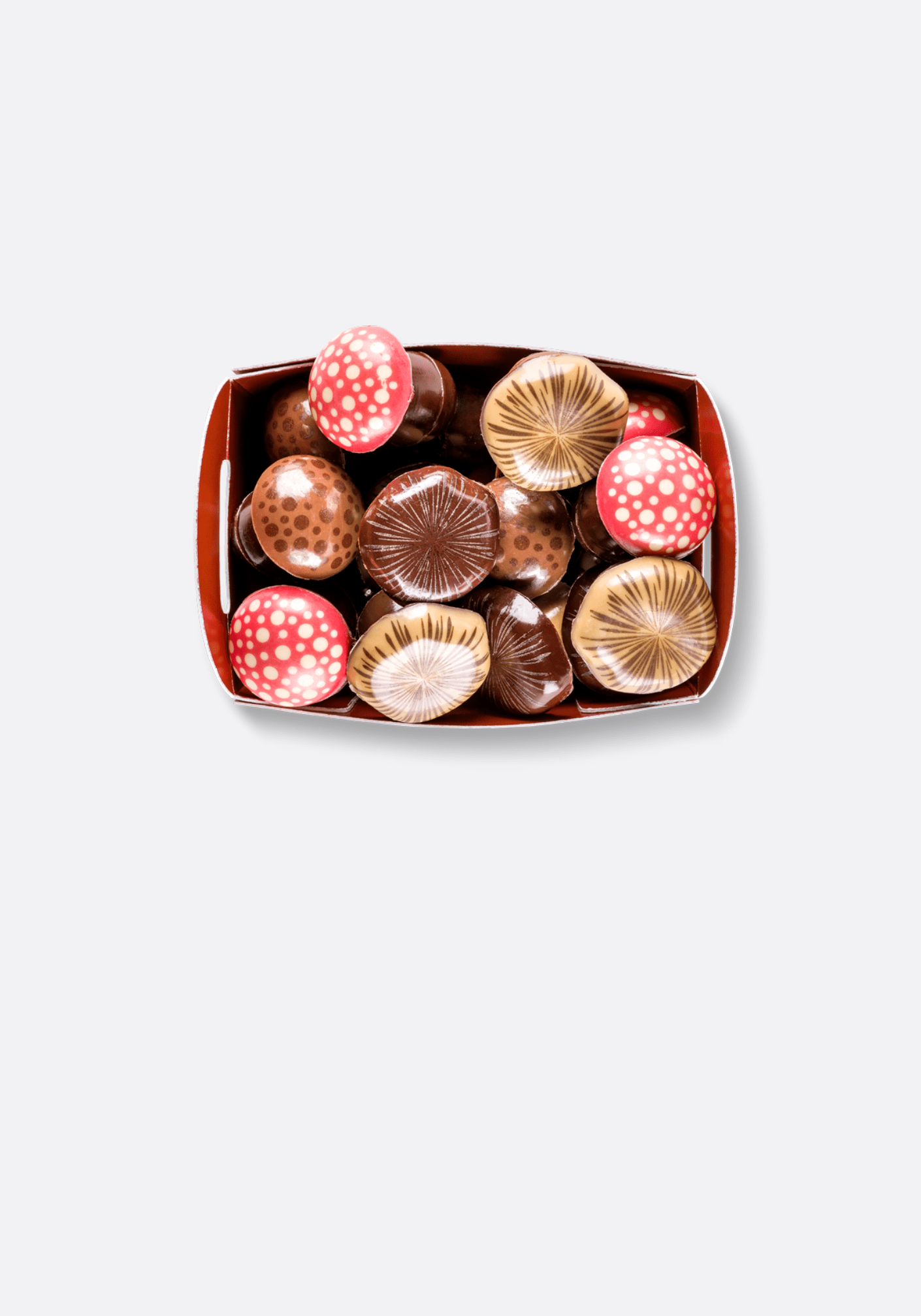 CHAMPIGNONS EN CHOCOLAT