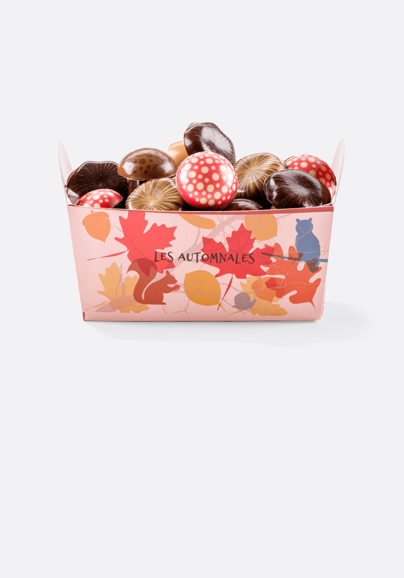 CHAMPIGNONS EN CHOCOLAT