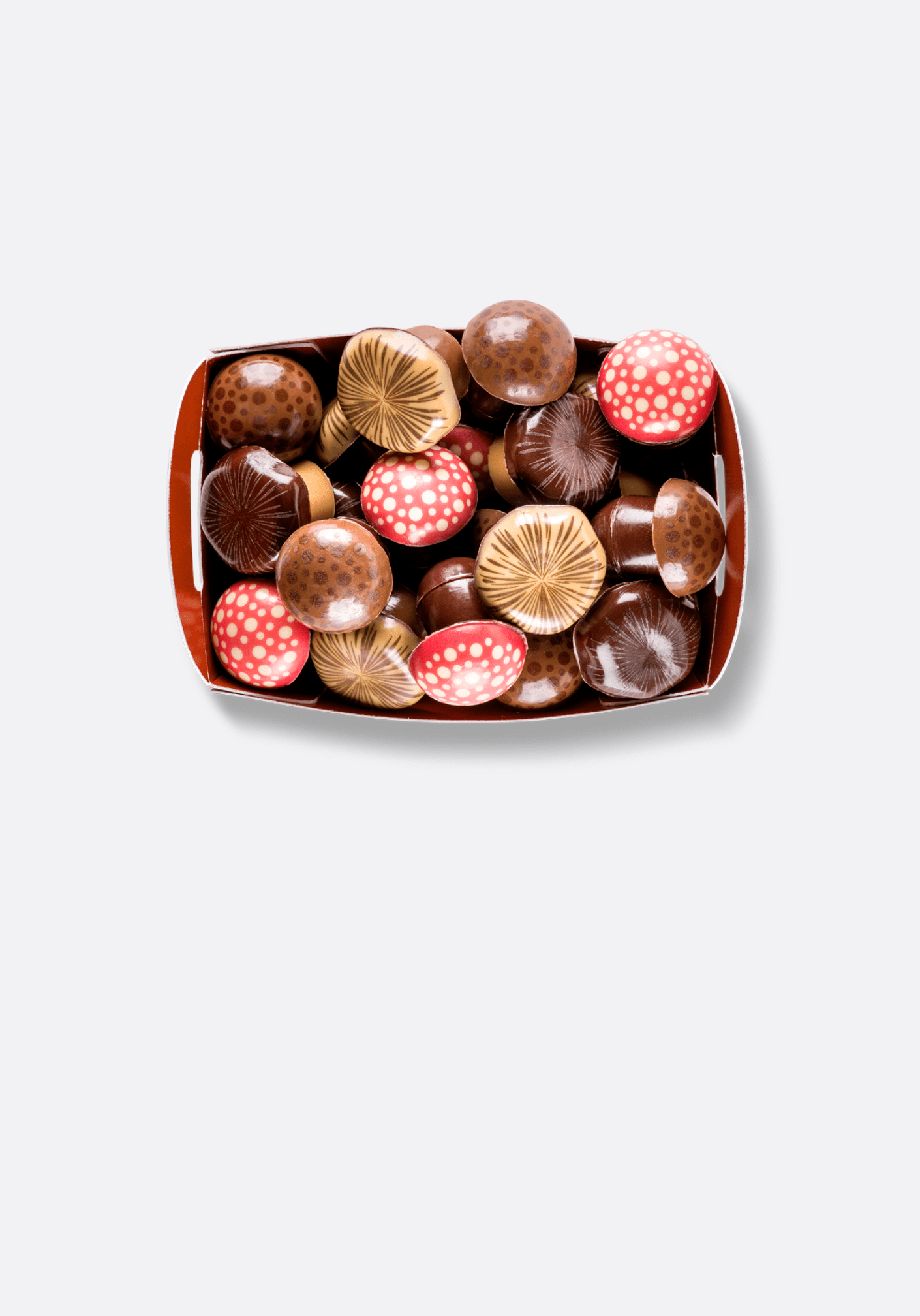 CHAMPIGNONS EN CHOCOLAT
