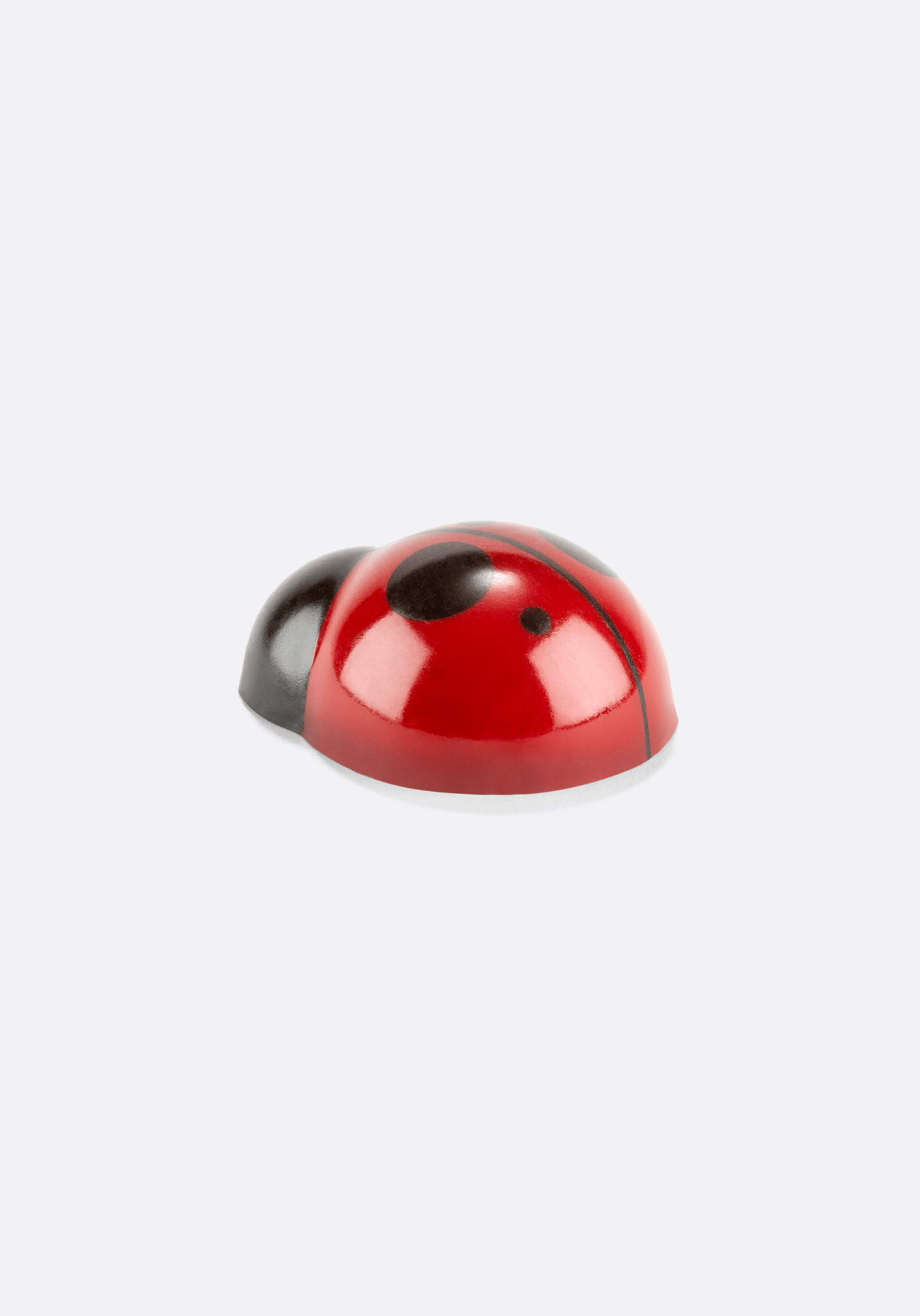COCCINELLE EN CHOCOLAT