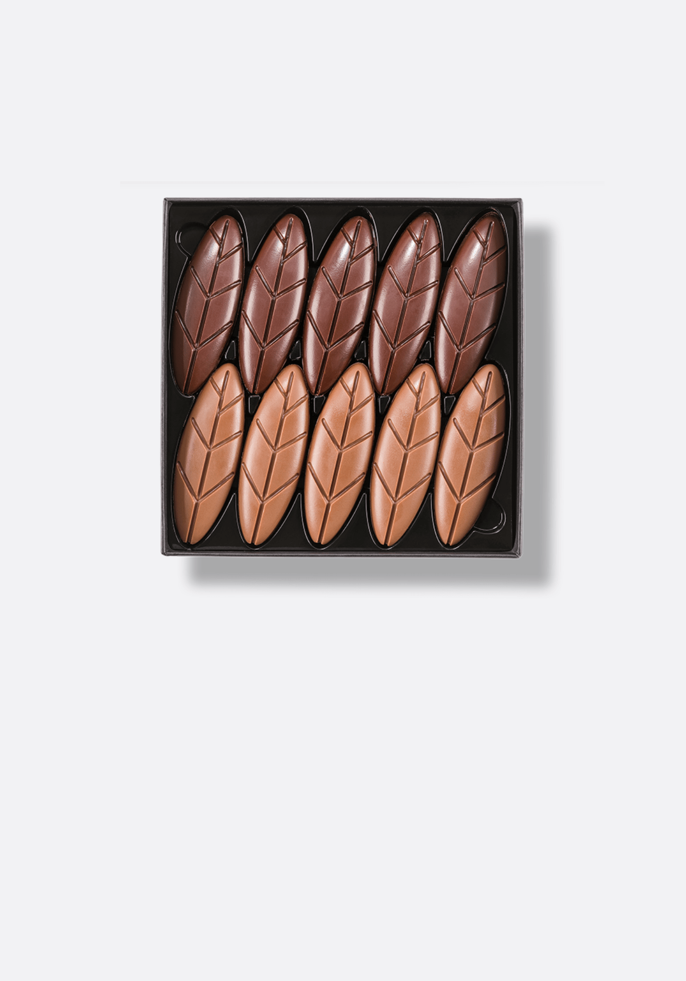 FEUILLES CHOCOLAT