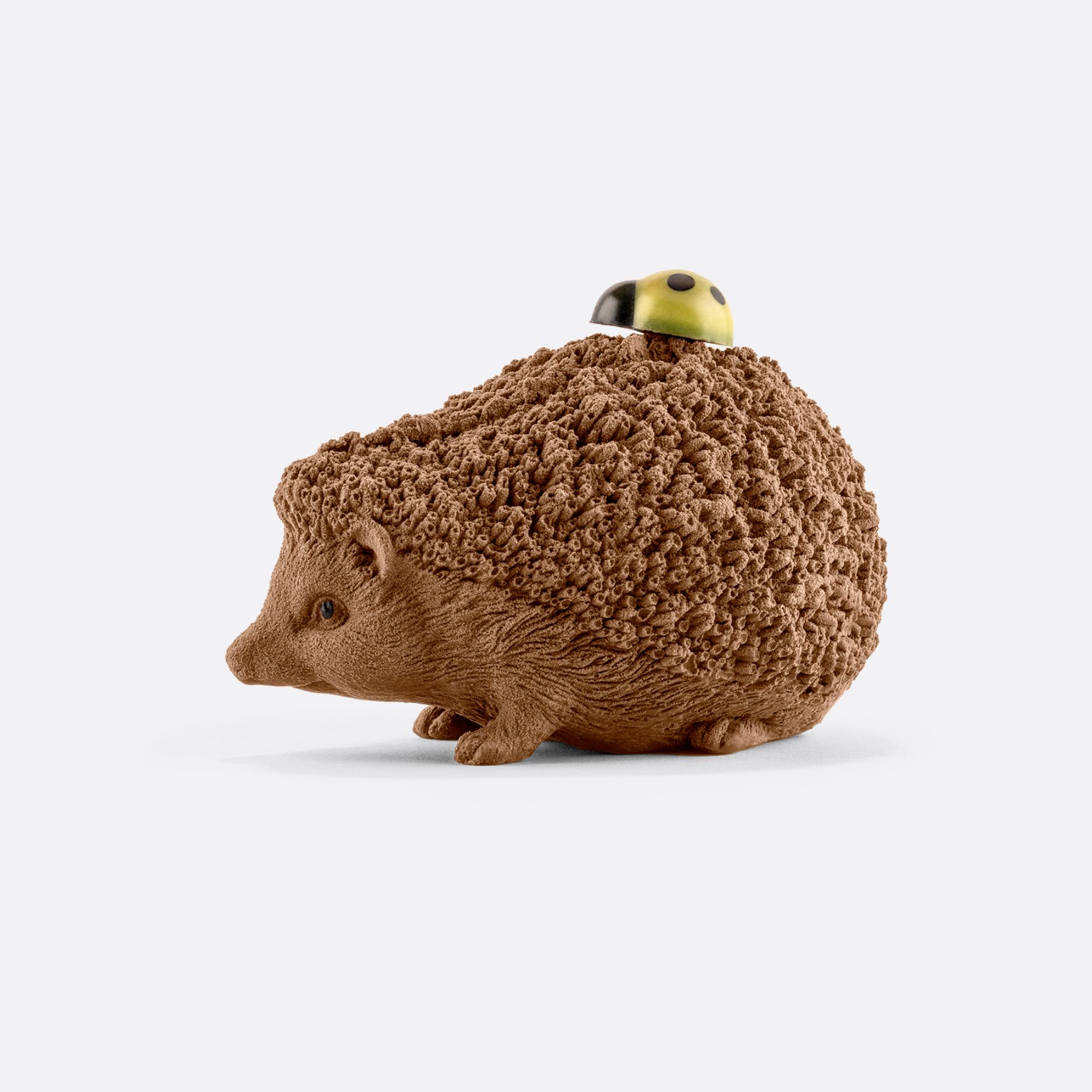 HÉRISSON SUR SES PATTES