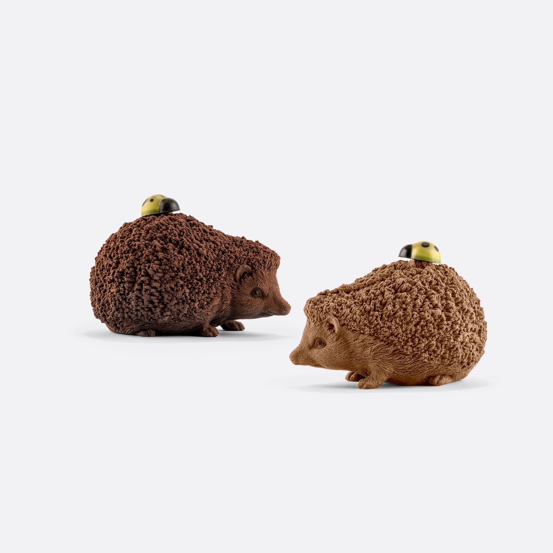 HÉRISSON SUR SES PATTES