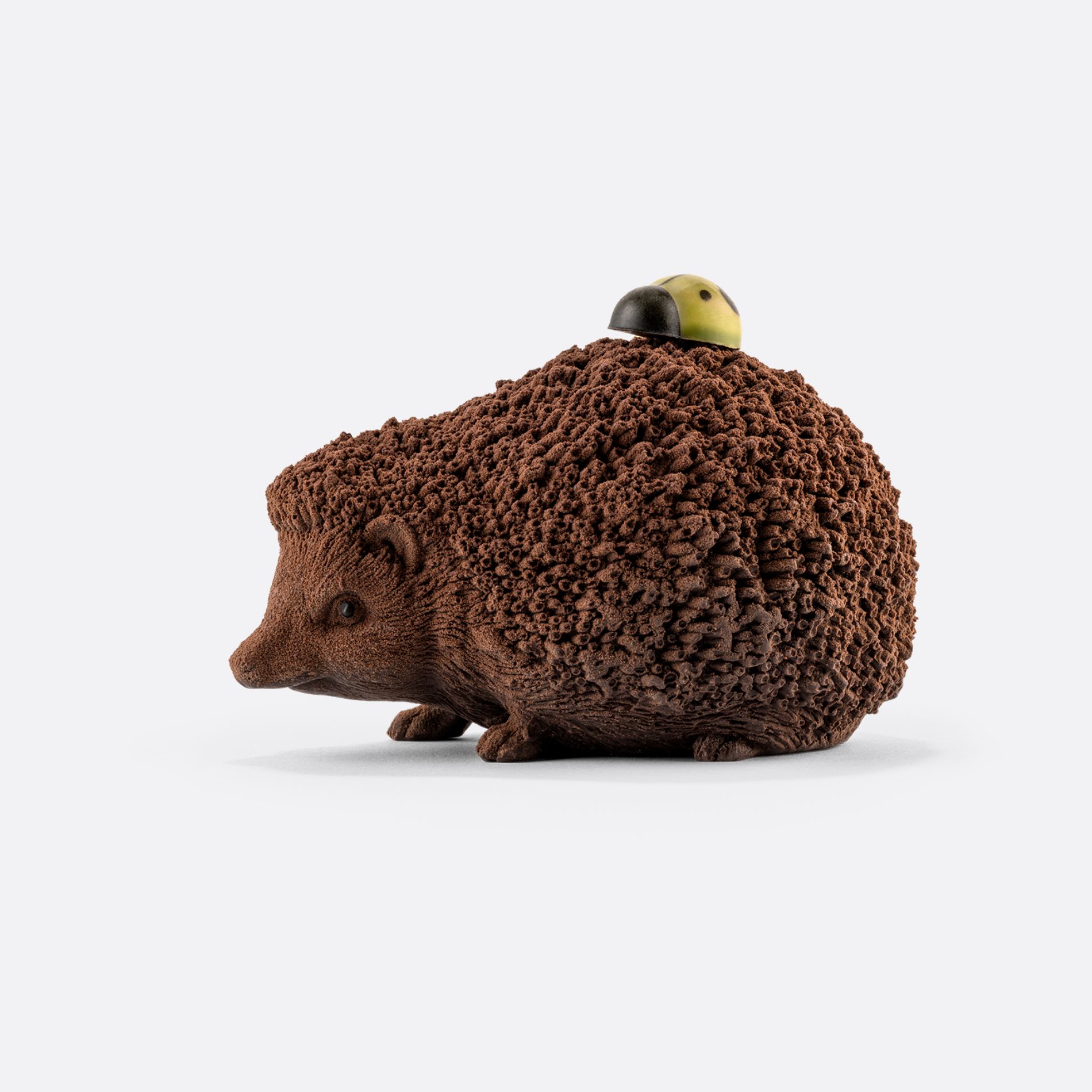 HÉRISSON SUR SES PATTES