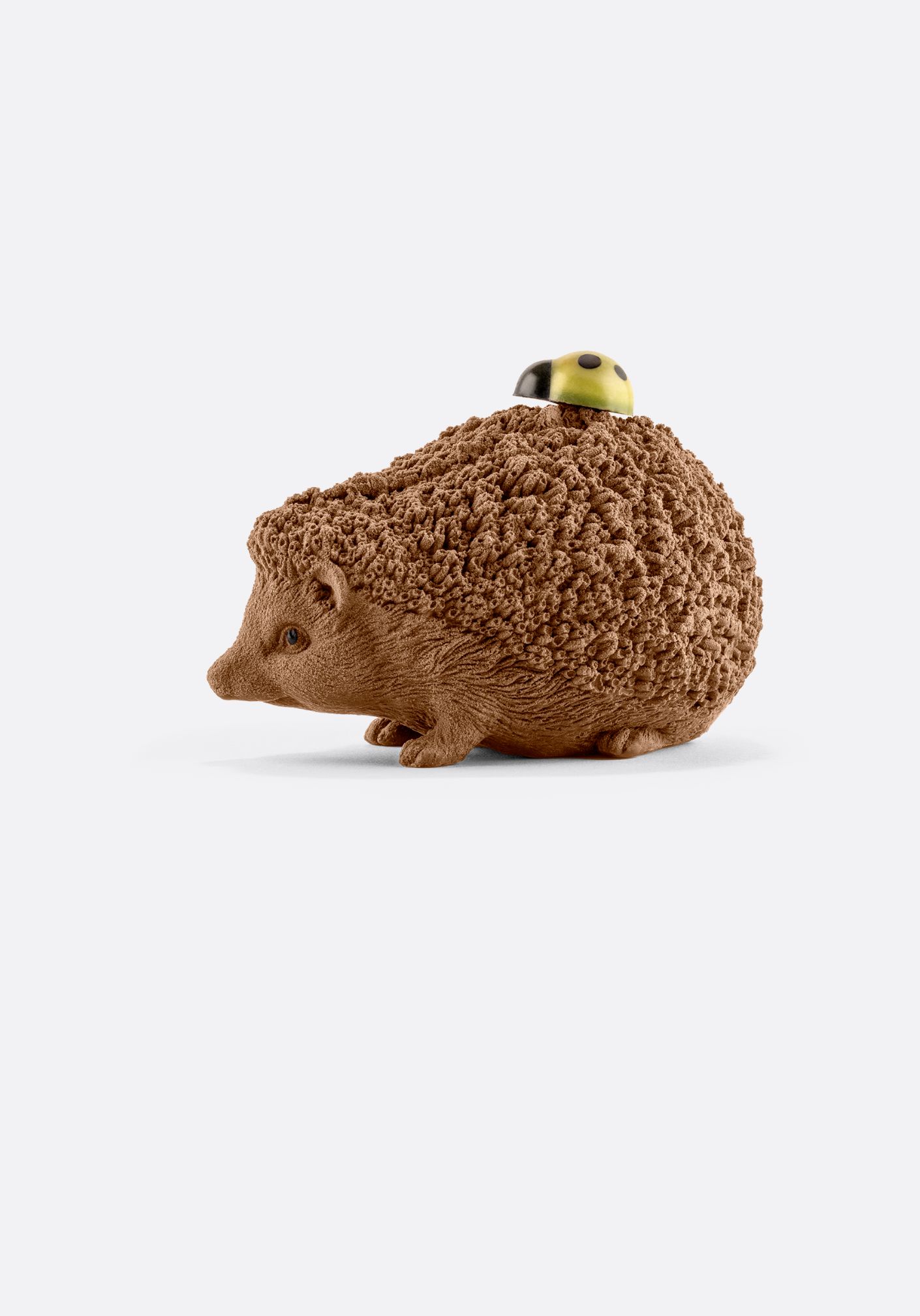 HÉRISSON SUR SES PATTES