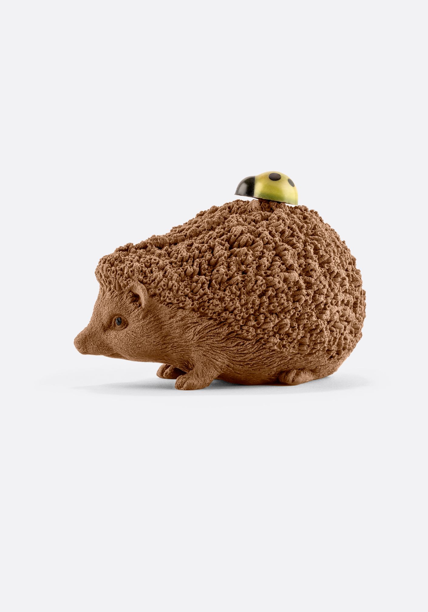 HÉRISSON SUR SES PATTES