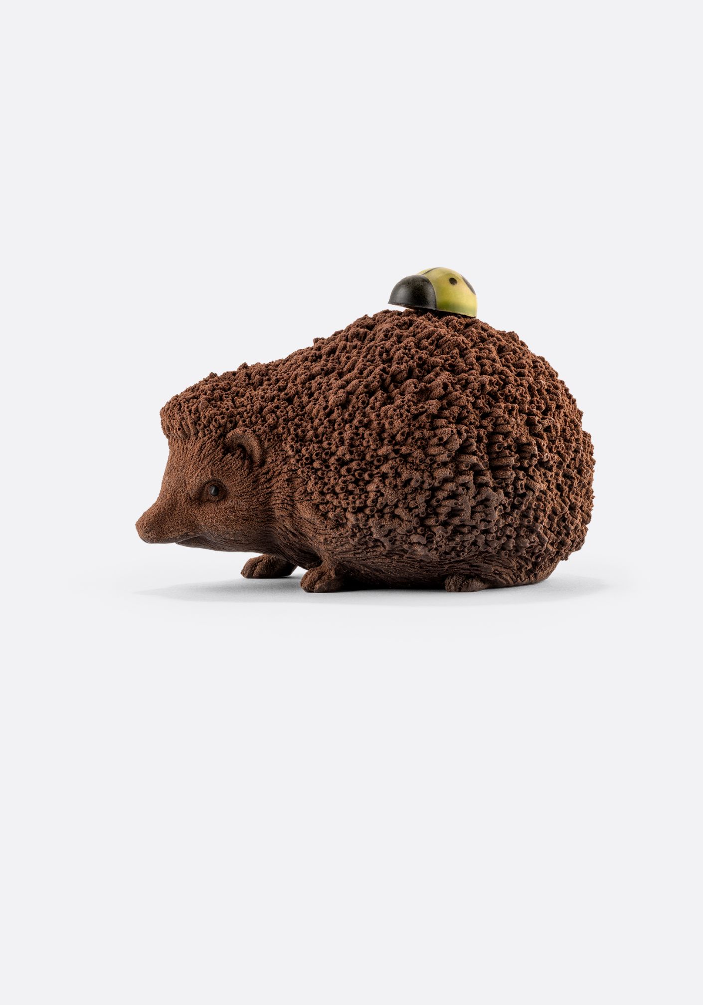 HÉRISSON SUR SES PATTES