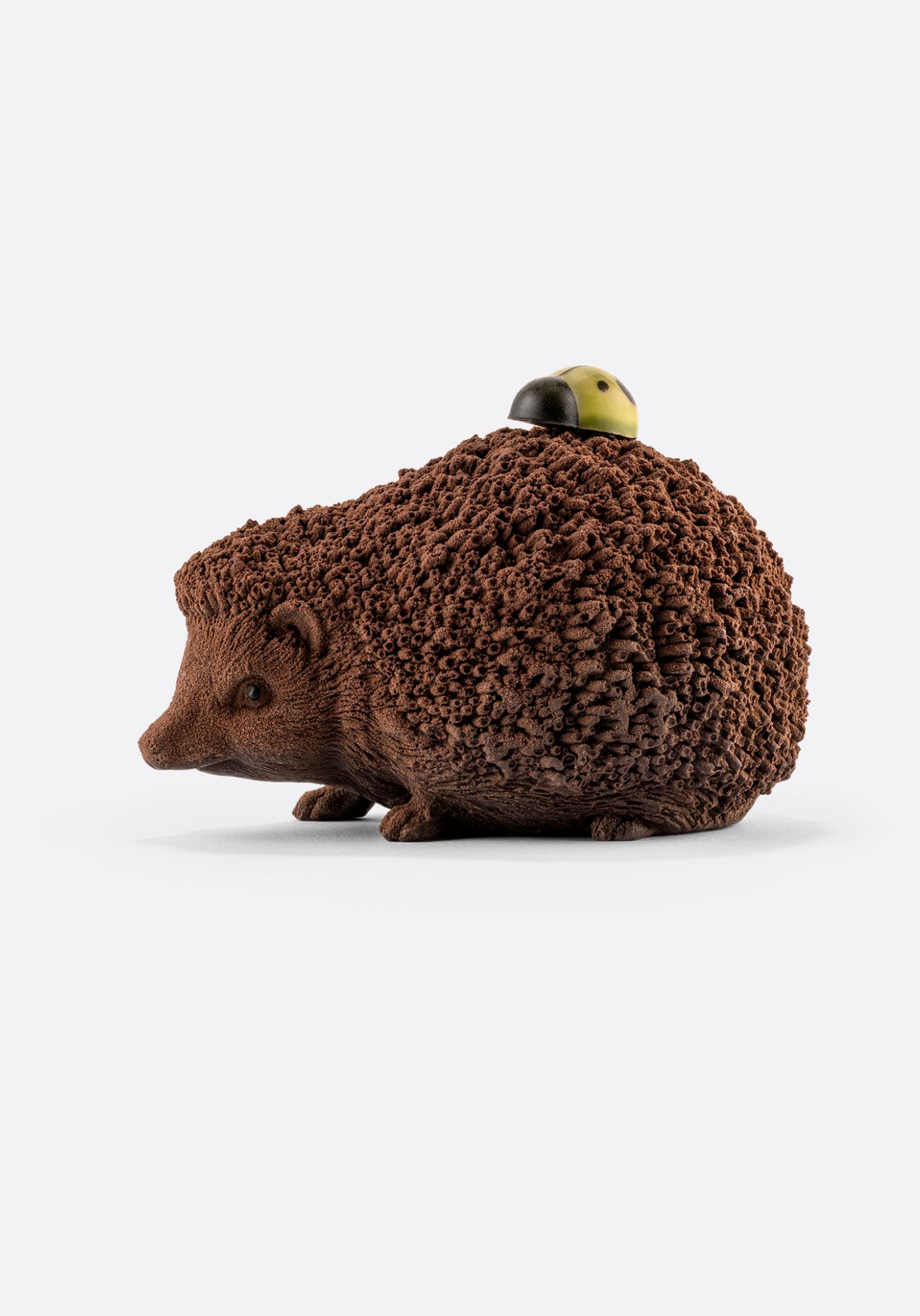 HÉRISSON SUR SES PATTES