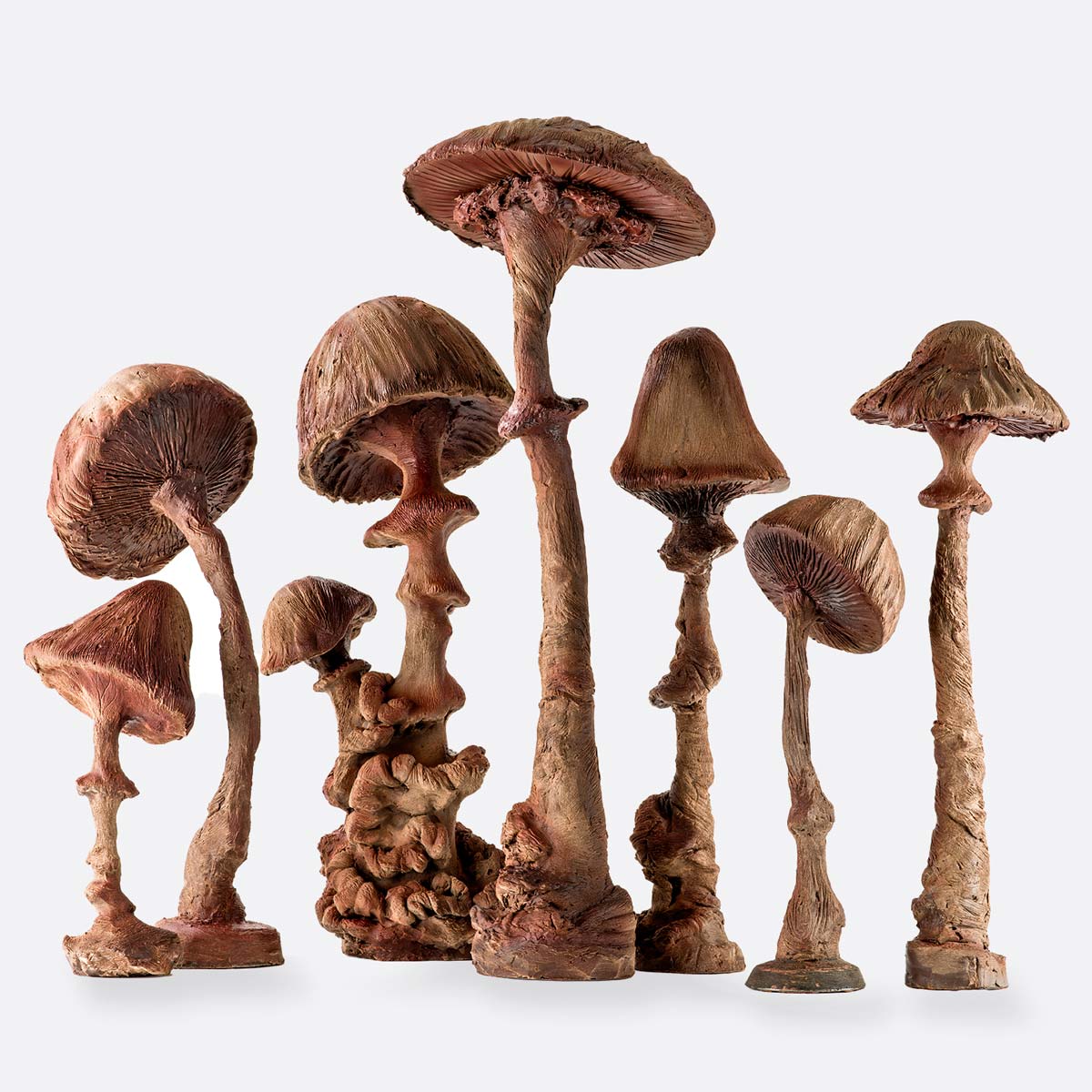 Sculpture chocolat champignons Les Automnales