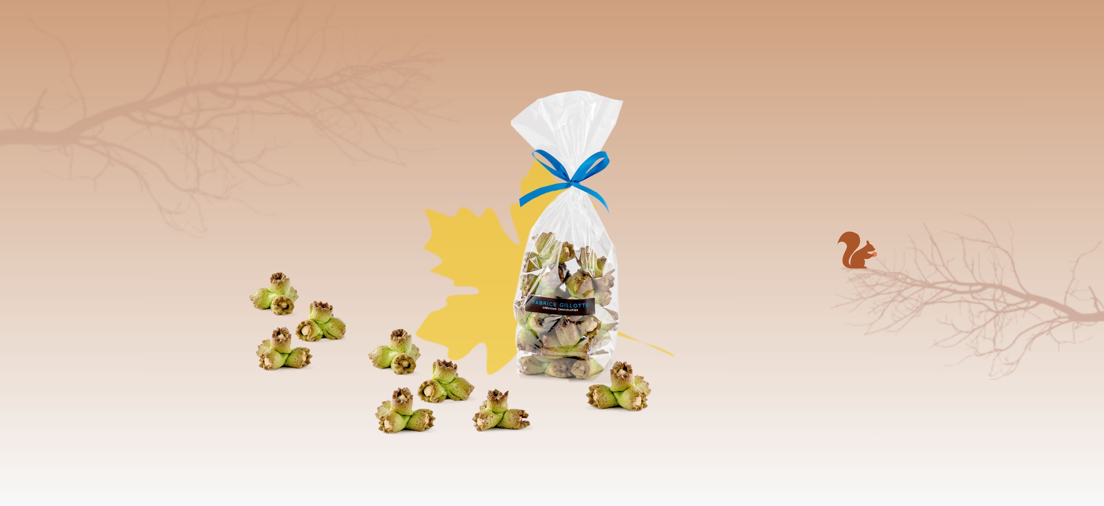 Jumbotron NOISETTES   (copie)