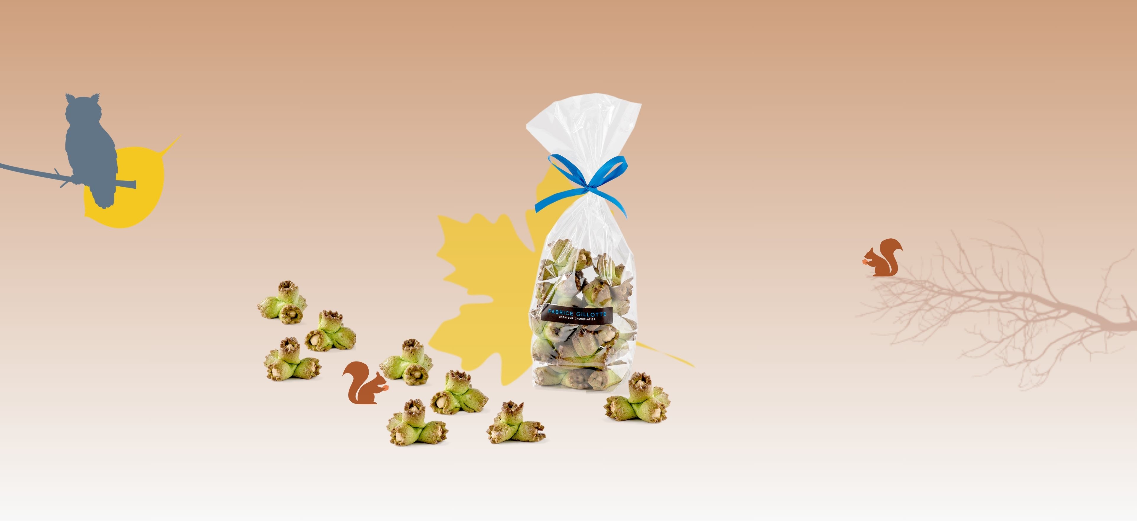 Jumbotron survol NOISETTES (copie)