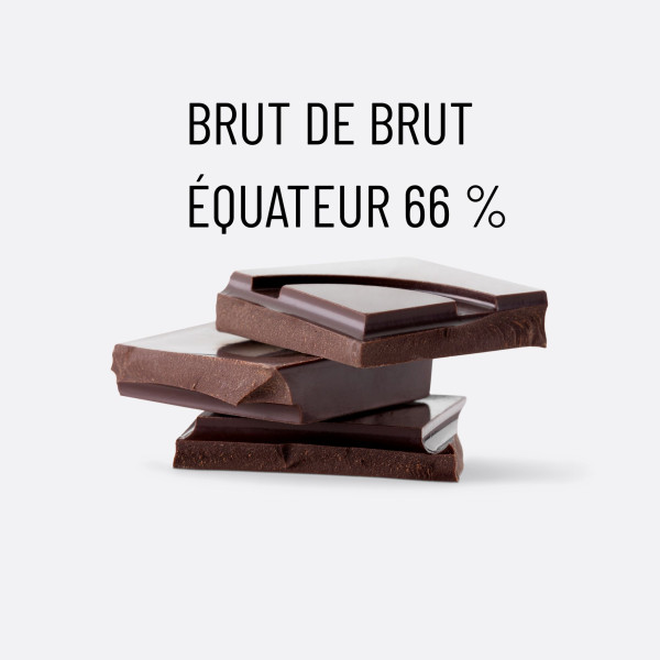 BRUT DE BRUT 66%
